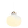 Lustră pe cablu DFTP by Nordlux RAITO 1xE27/25W/230V