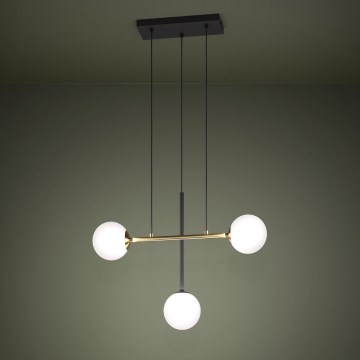 Lustră pe cablu Eglo 3xE14/40W/230V auriu/negru