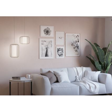 Lustră pe cablu Eglo 1xE27/40W/230V d. 24 cm