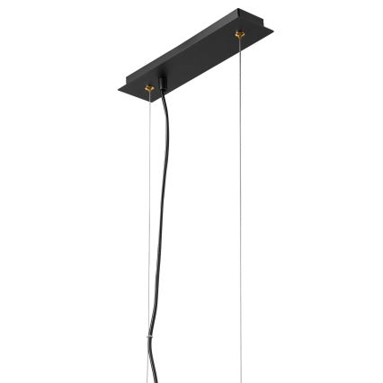 Lustră pe cablu ELOISE 3xE14/15W/230V