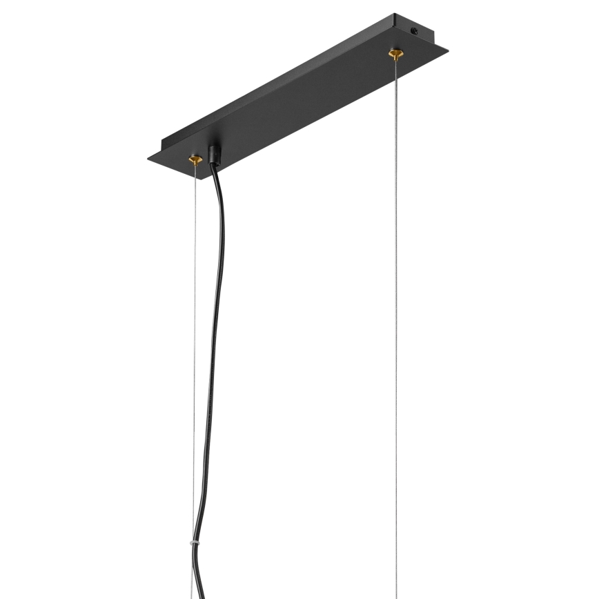 Lustră pe cablu ELOISE 4xE14/15W/230V