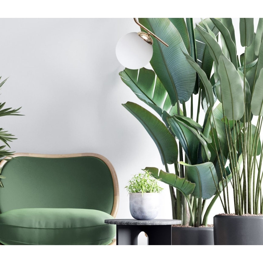 Lustră pe cablu FIRA 1xE27/60W/230V auriu