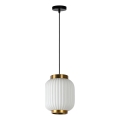 Lustră pe cablu GOSSE 1xE27/40W/230V Lucide 13435/01/31