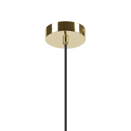 Lustră pe cablu HARMA 1xE27/15W/230V d. 14 cm alb/auriu