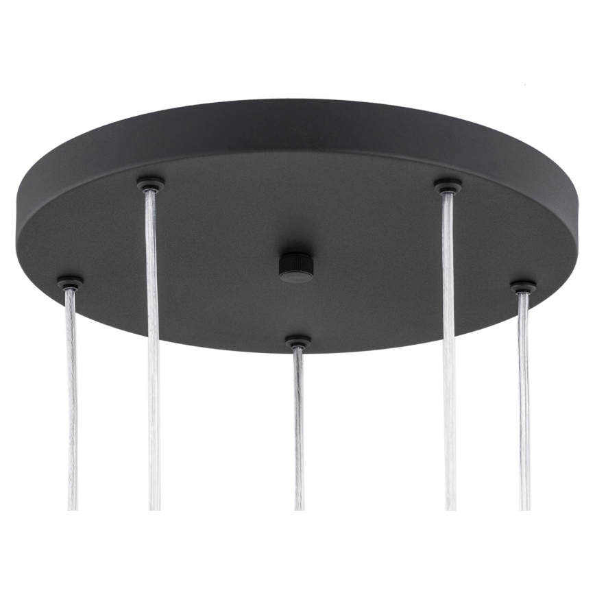 Lustră pe cablu HOLLYWOOD 5xE14/7W/230V neagră Argon 2103