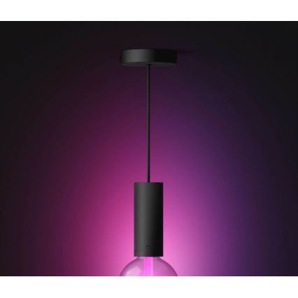 Lustră pe cablu Hue GUIDE 1xE27/60W/230V Philips