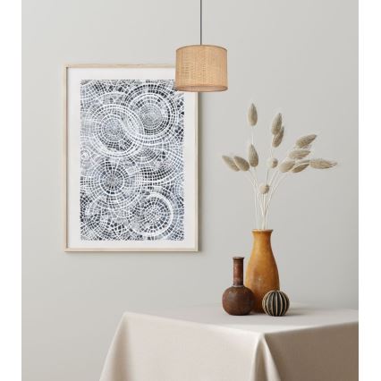 Lustră pe cablu IRMA 1xE27/60W/230V d. 20 cm