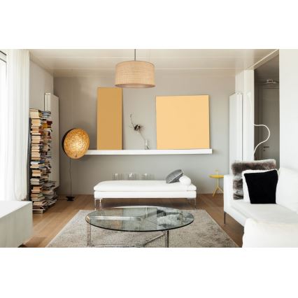 Lustră pe cablu IRMA 1xE27/60W/230V d. 40 cm