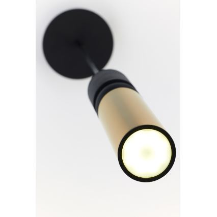 Lustră pe cablu Jupiter 2006 ALAS 1xGU10/10W/230V auriu/negru