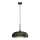 Lustră pe cablu LINCOLN 1xE27/60W/230V d. 35 cm verde