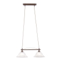 Lustră pe cablu NELLY 2xE14/40W/230V Paul Neuhaus 15242-48