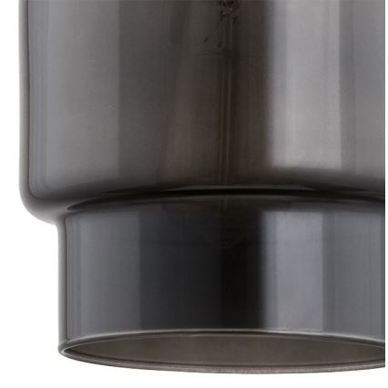 Lustră pe cablu NEWA 1xE27/15W/230V neagră Argon 3270