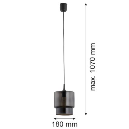 Lustră pe cablu NEWA 1xE27/15W/230V neagră Argon 3270