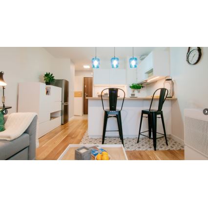 Lustră pe cablu NEWA 1xE27/15W/230V transparentă Argon 3275