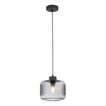 Lustră pe cablu Paul Neuhaus 2005-25 BOLETUS 1xE27/10W/230V d. 23,5 cm gri