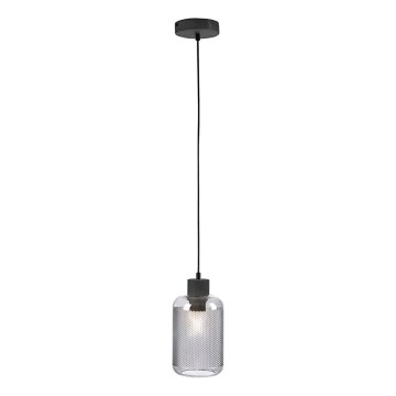 Lustră pe cablu Paul Neuhaus 2006-25 BOLETUS 1xE27/10W/230V d. 14 cm gri
