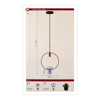 Lustră pe cablu Paulmann 79748 1xE27/20W TASJA 230V