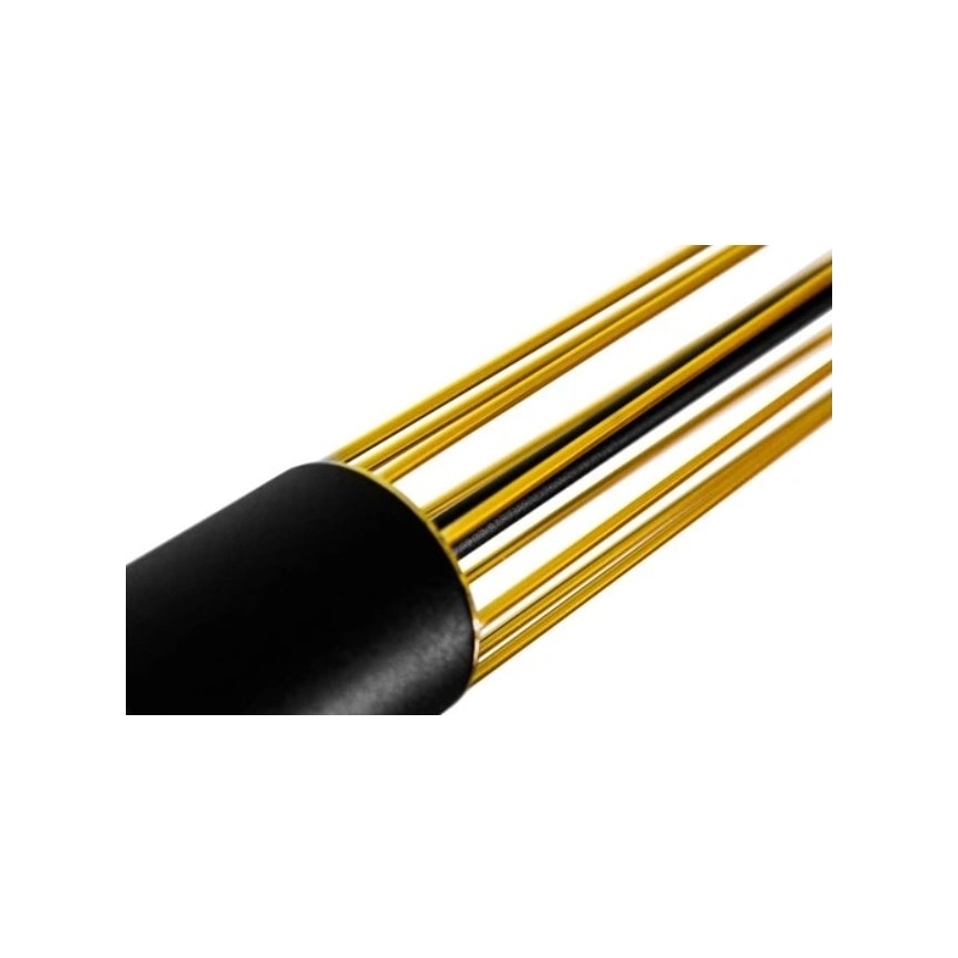 Lustră pe cablu PRESCOT 3xGU10/40W/230V aurie