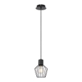 Lustră pe cablu Rabalux 1xE27/40W/230V