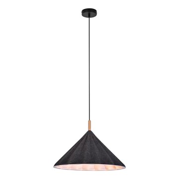 Lustră pe cablu Rabalux 1xE27/40W/230V