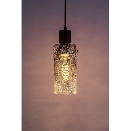 Lustră pe cablu Rabalux 1xE27/60W/230V