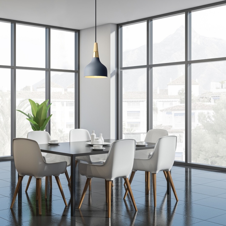 Lustră pe cablu Rabalux 1xE27/40W/230V