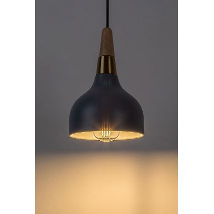 Lustră pe cablu Rabalux 1xE27/40W/230V