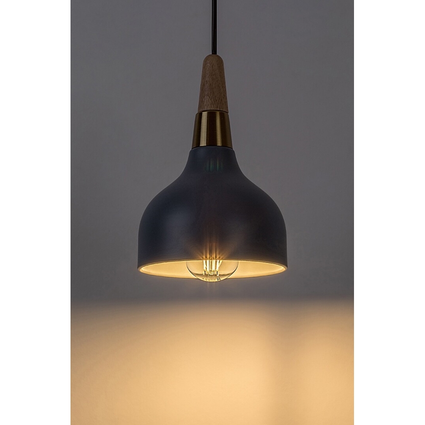 Lustră pe cablu Rabalux 1xE27/40W/230V