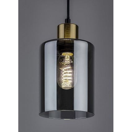 Lustră pe cablu Rabalux 1xE27/40W/230V