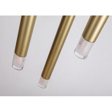 Lustră pe cablu Rabalux 3xG9/5W/230V auriu