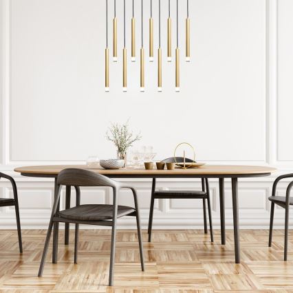 Lustră pe cablu Rabalux 10xG9/5W/230V auriu