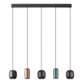 Lustră pe cablu Redo 01-3481 BOOM 5xGU10/10W/230V negru/verde/maro