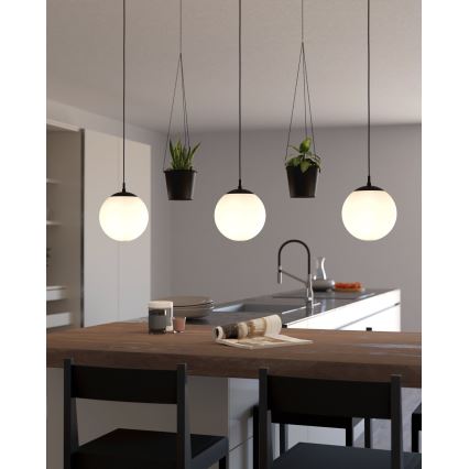 Lustră pe cablu 3xE27/40W/230V Eglo
