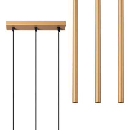 Lustră pe cablu PASTELO 3xG9/8W/230V auriu