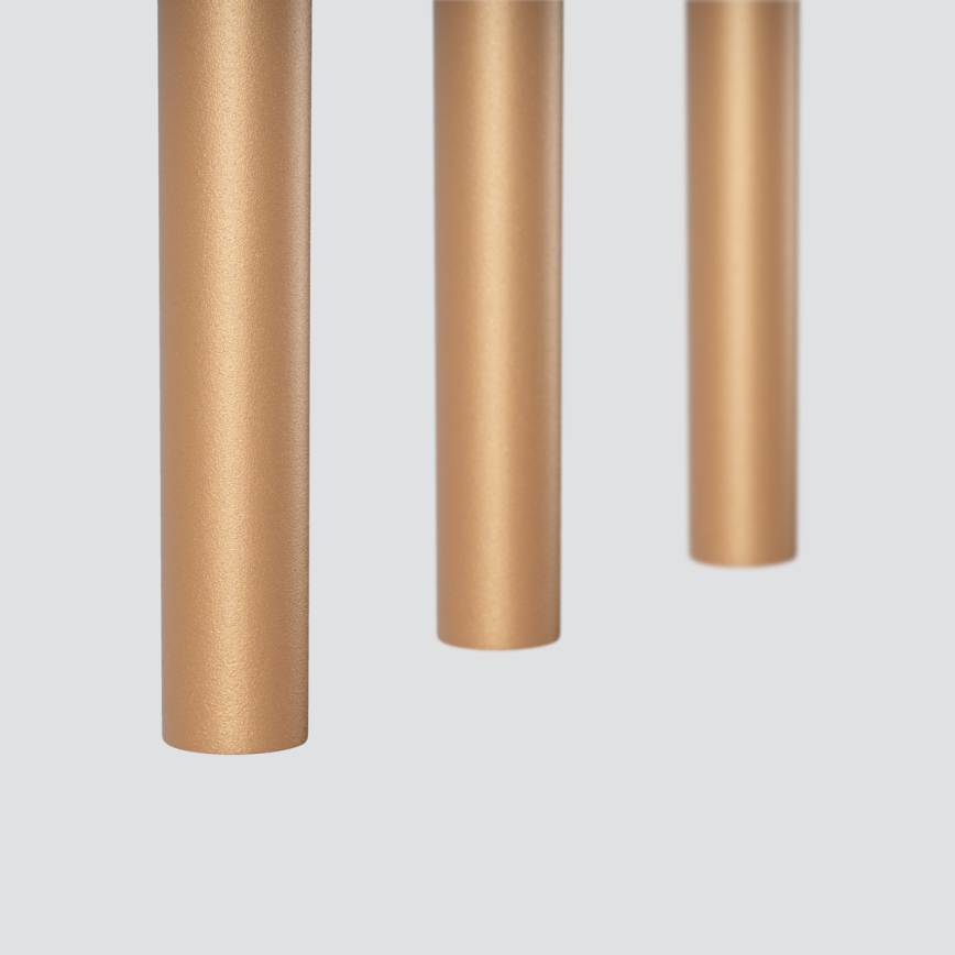 Lustră pe cablu PASTELO 3xG9/8W/230V auriu