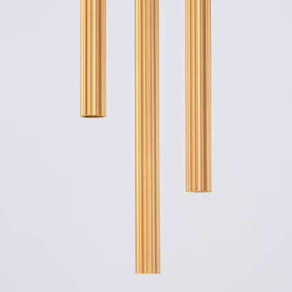 Lustră pe cablu ARCHE 3xG9/8W/230V auriu