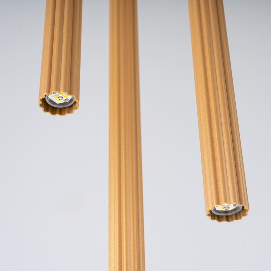 Lustră pe cablu ARCHE 3xG9/8W/230V auriu