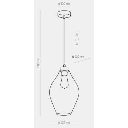 Lustră pe cablu TULON 1xE27/60W/230V