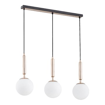 Lustră pe cablu VOLDA 3xE14/40W/230V alamă