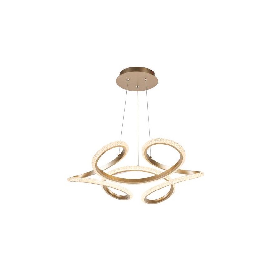 Searchlight - Lampă suspendată LED dimabilă pe cablu DOODLE LED/40W/230V, alamă