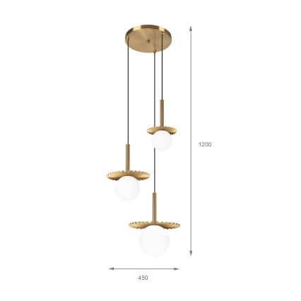 Lustră suspendată pe cablu CHITA 3xG9/5W/230V aurie