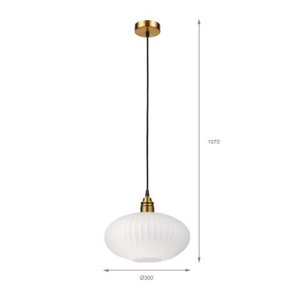 Lustră suspendată pe cablu HECTOR 1xE27/15W/230V alb/alamă Ø30 cm