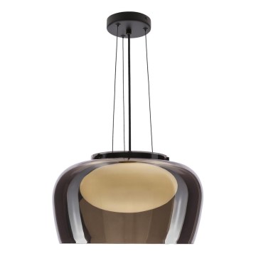 Lustră suspendată pe cablu INSIEME, 1xGX53/10W/230V, Ø 38 cm, negru fumuriu