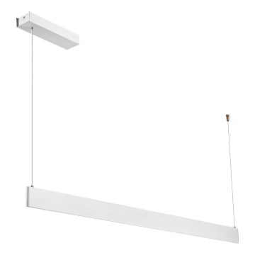 Lustră suspendată pe cablu LINEA LED/36W/230V 3000/4000/5700K CRI 90 alb