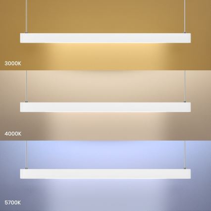 Lustră suspendată pe cablu LINEA LED/36W/230V 3000/4000/5700K CRI 90 alb