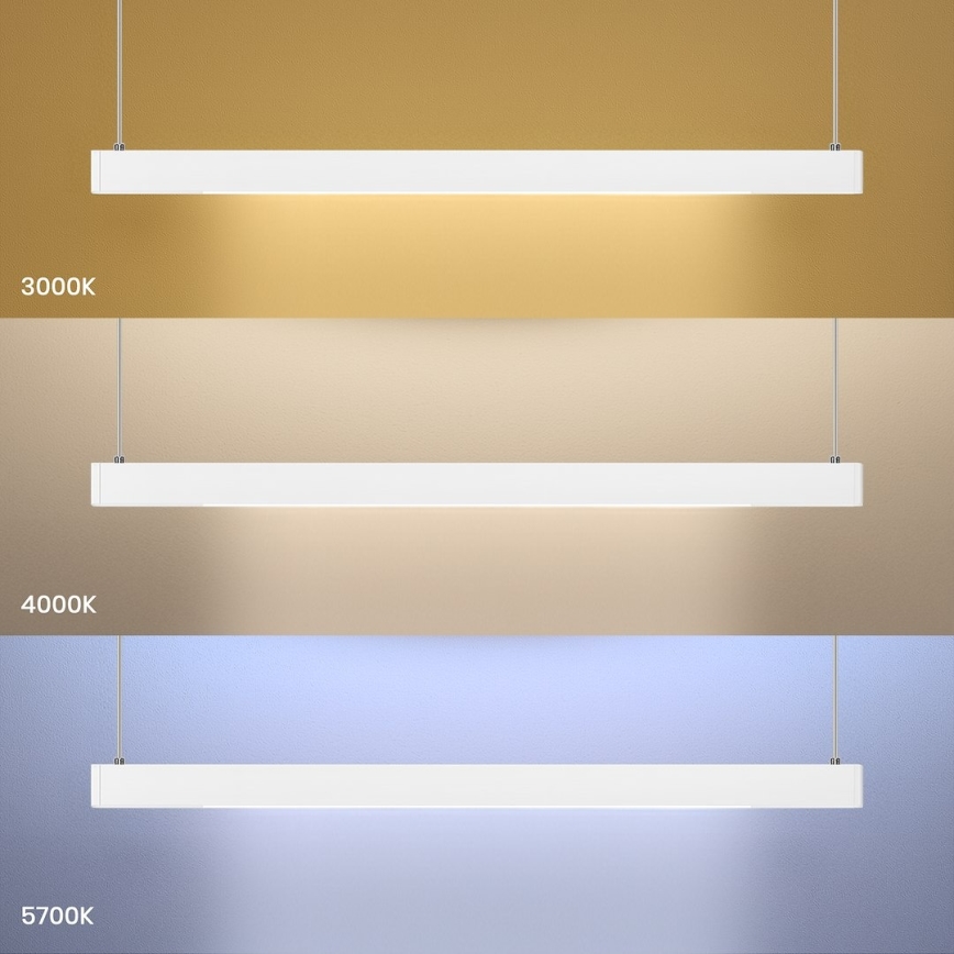 Lustră suspendată pe cablu LINEA LED/36W/230V 3000/4000/5700K CRI 90 alb