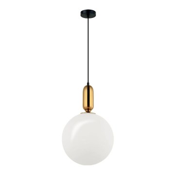 Lustră suspendată pe cablu NEPTUNE 1xE27/40W/230V aurie