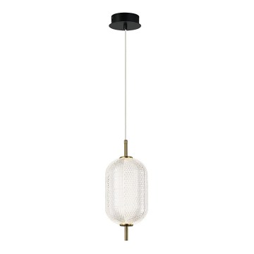 Lustră suspendată pe cablu PELLUCID LED/11W/230V auriu/transparent