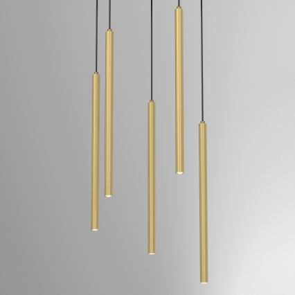 Lustră suspendată pe cablu YORU 8xG9/8W/230V, alamă