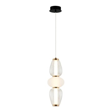Lustru LED suspendat pe cablu SHINY LED/17W/230V alb/auriu
